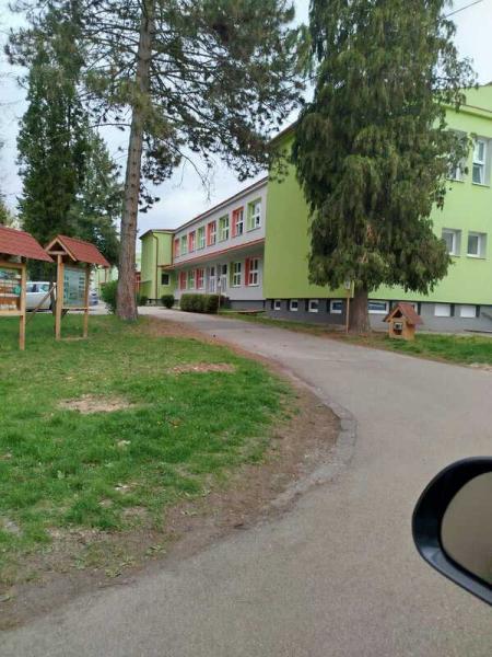 9-zkladn-kola-kolsk-druina