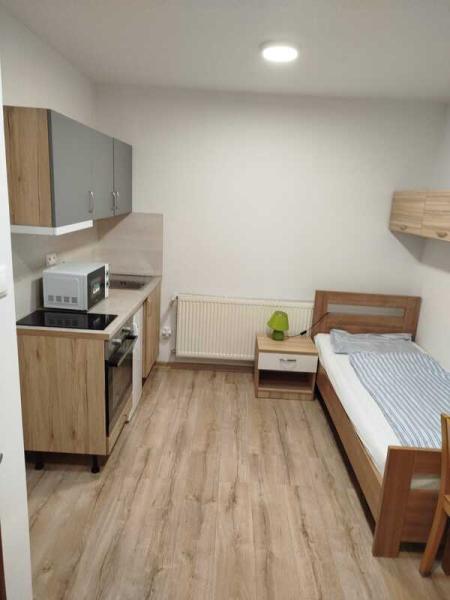 1-przemie-jednoposteov-izba-s-kuchynkou-9